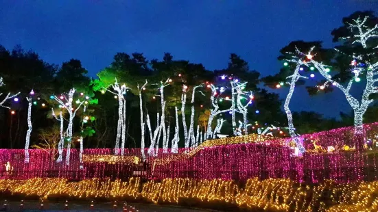 Suyanggae Light Tunnel