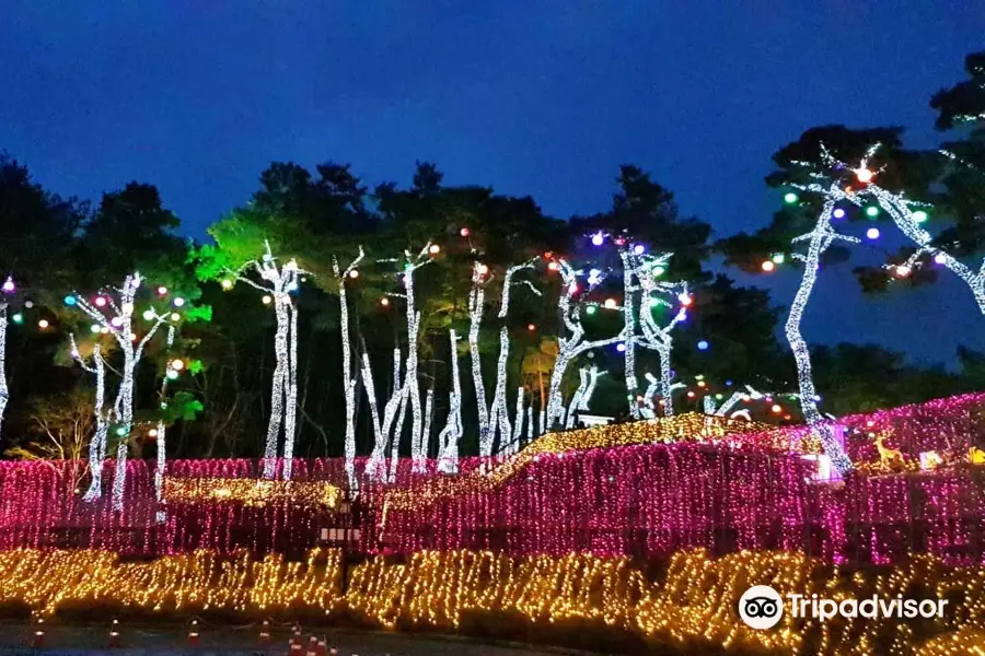 Suyanggae Light Tunnel