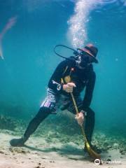 Koh Tao Divers