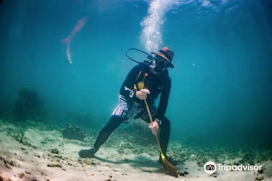 Koh Tao Divers