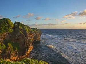 Tautu Reef