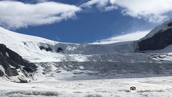 Columbia Icefield Scenic Walks