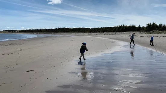 Pondville Beach Provincial Park