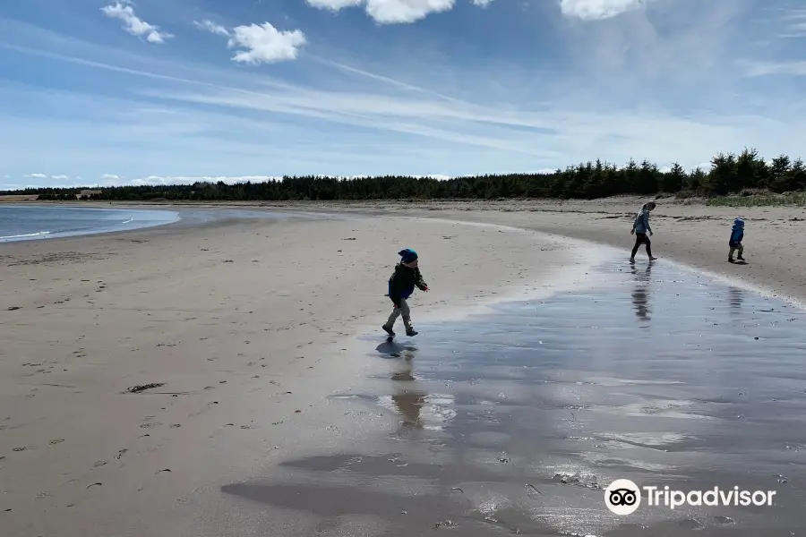 Pondville Beach Provincial Park