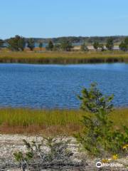 Orient Beach State Park