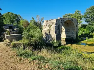 Ambrussum