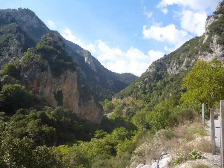 Lakonia