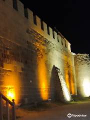 Erzurum Castle