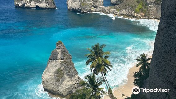 DIAMOND BEACH NUSA PENIDA