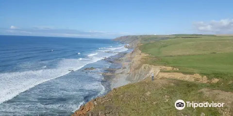 Maer Cliff, Bude - South West Coast Path walk