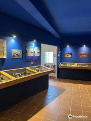 Musee des coquillages et de la mer