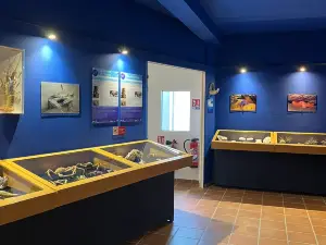 Le Museum of the Mer