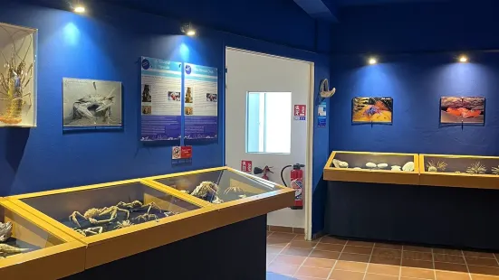 Le Museum of the Mer