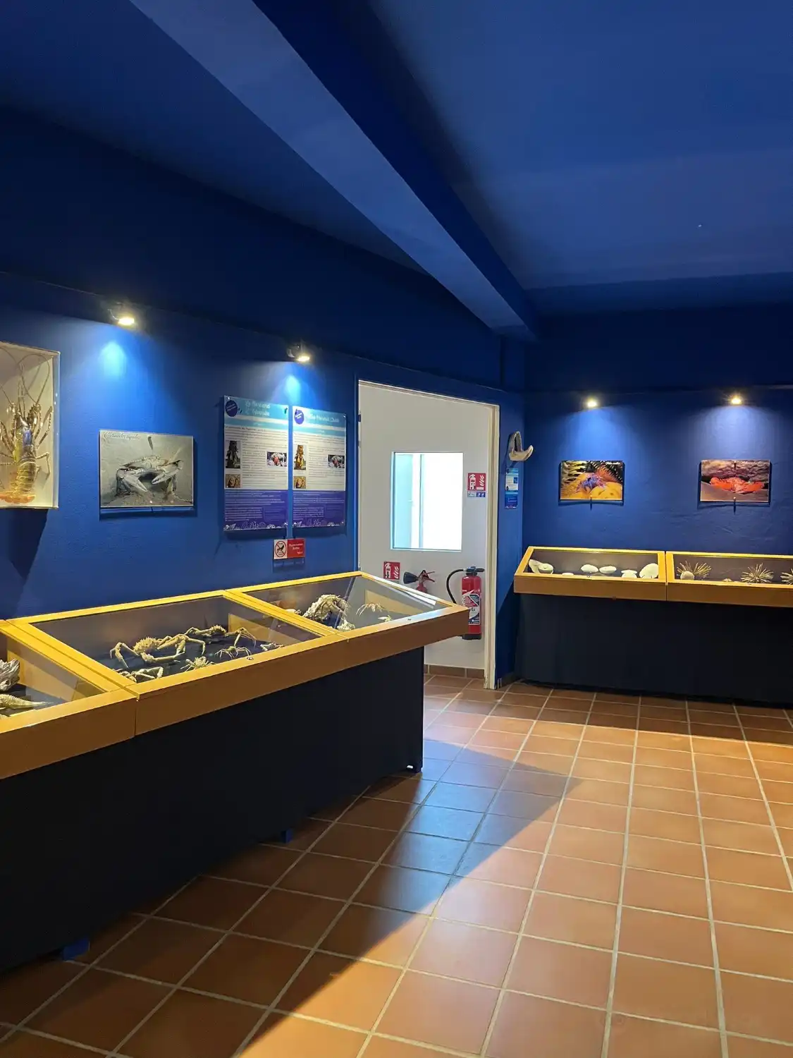 Hotels near Le Museum of the Mer