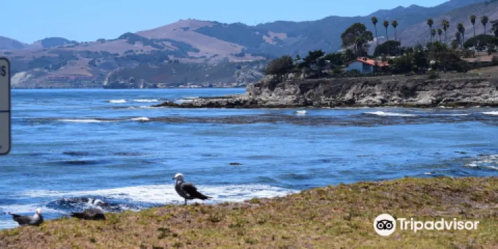 Eldwaylen Ocean Park