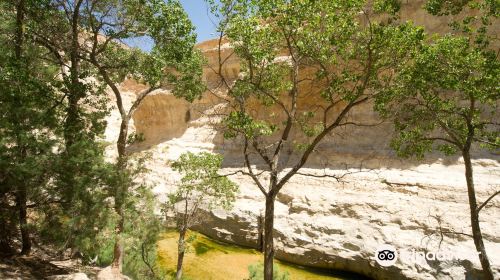 Avdat National Park