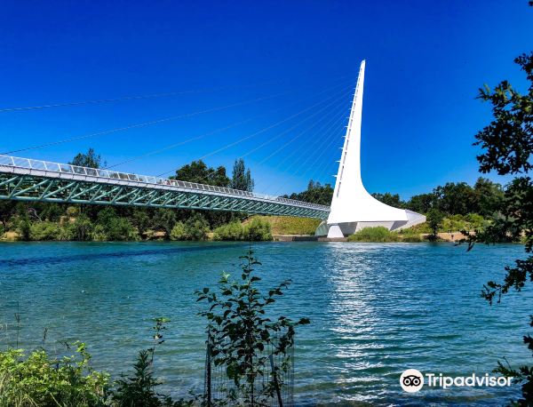 Redding