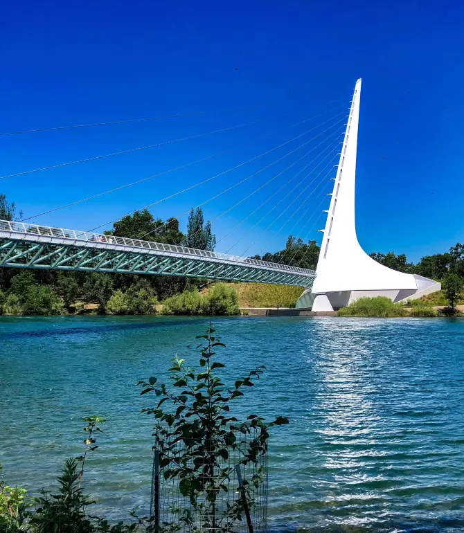 Redding