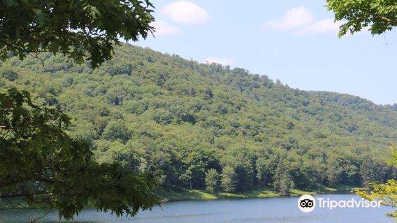 Cherry Springs State Park