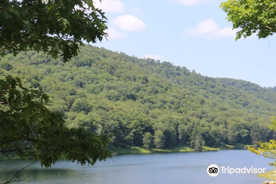 Cherry Springs State Park