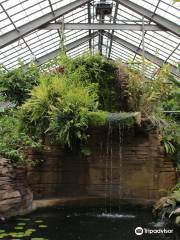 Garfield Park Conservatory & Sunken Garden