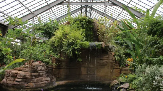 Garfield Park Conservatory & Sunken Garden