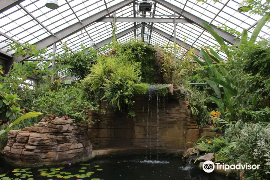 Garfield Park Conservatory & Sunken Garden