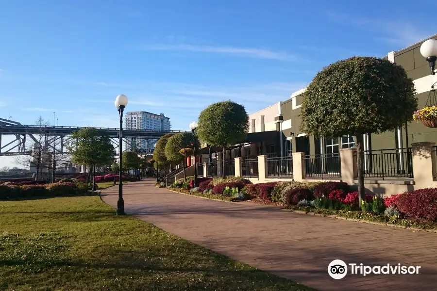 Louisiana Boardwalk