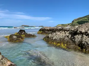 Ocean Beach