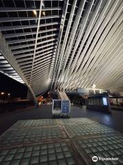 Gare de Liège-Guillemins