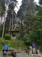 Go Ape Grizedale