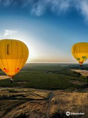 Napa Valley Balloons, Inc