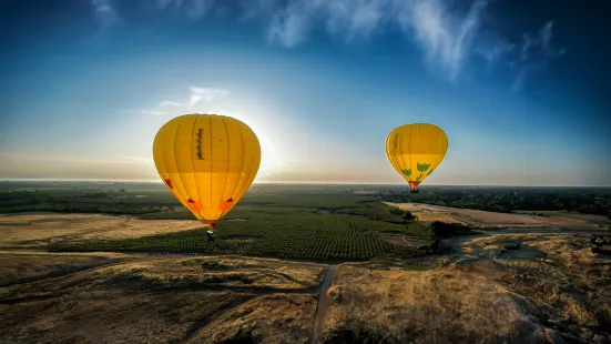 Napa Valley Balloons, Inc