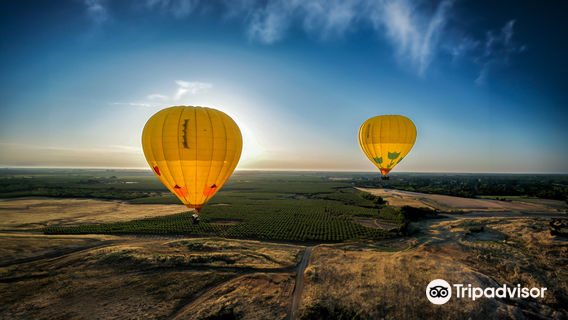 Napa Valley Balloons, Inc