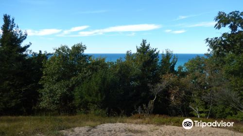 Nordhouse Dunes Wilderness Area