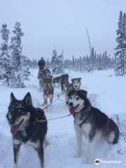 the Flower Kennel and Homestead - Talkeetna Alaska