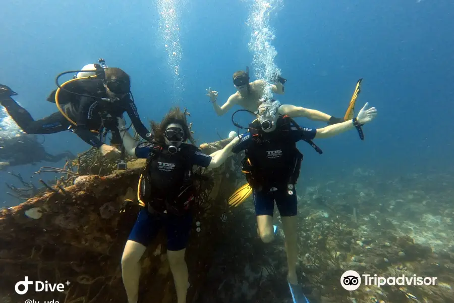 Barracuda Diving Centre