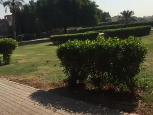 Jamal Abdulnaser Park