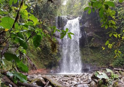 The Lost Waterfalls-Boquete