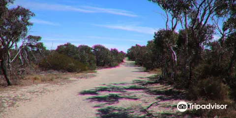 Aldinga Scrub Conservation Park