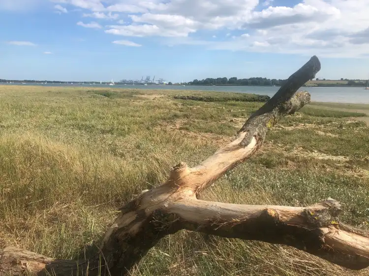 Hotels in Bucklesham