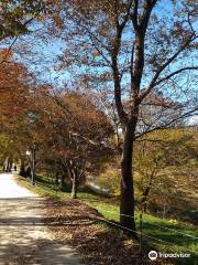 Gwanbangjerim Forest