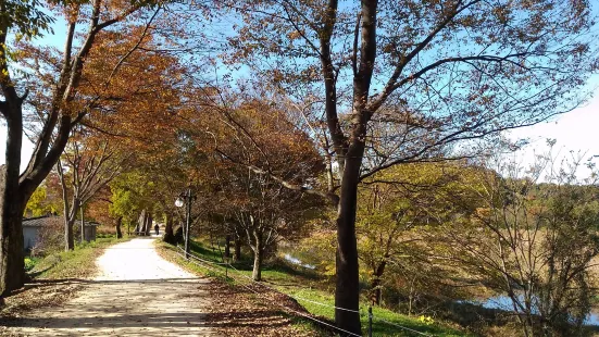 Gwanbangjerim Forest