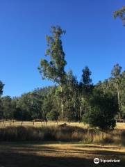 Murrindindi Scenic Reserve