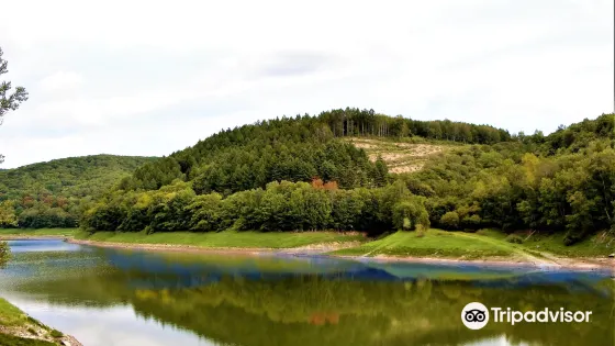 Nisshin Dam