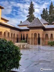 Viajes Alhambra - Granavisión -Alhambra Online