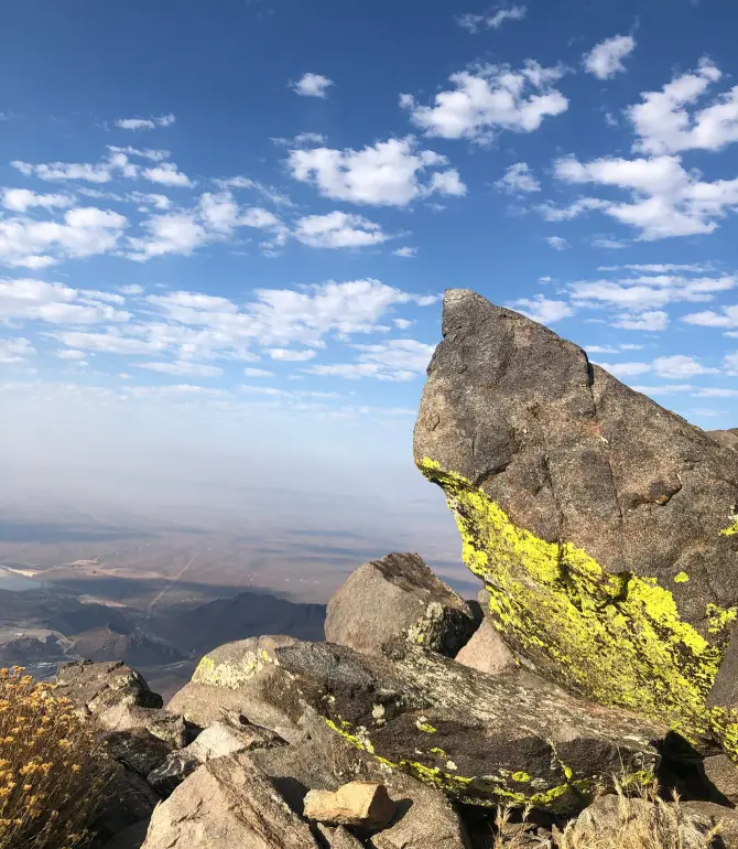 Dolan Springs