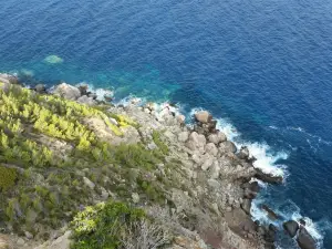 Torre del Verger