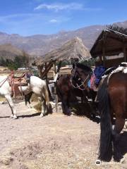 Colca Horse El Herraje