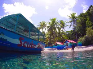 Scuba St Lucia